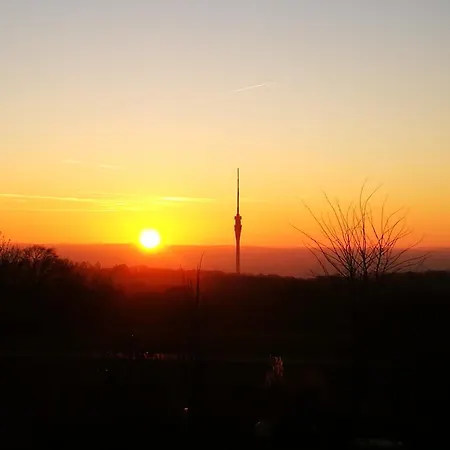 Schober ドレスデン