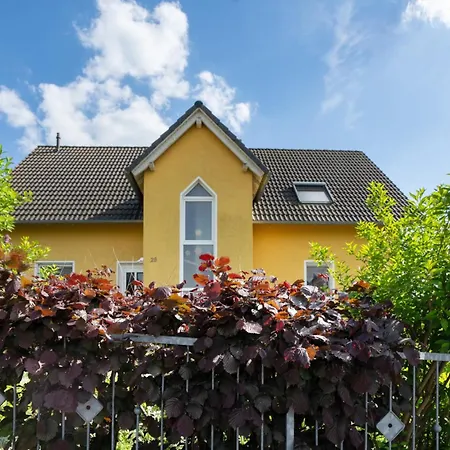 Schober * Drážďany